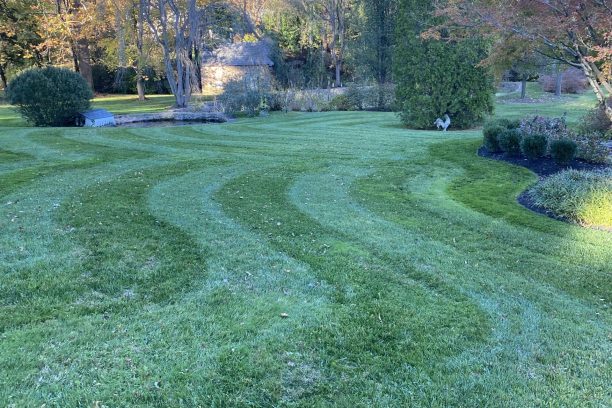 Final 1 - Lawn mowing